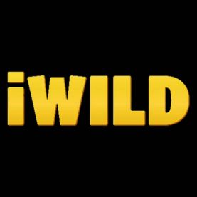 iWild Casino Themed Gaming NZ